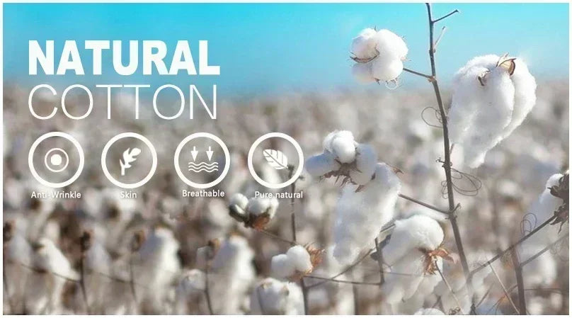 FINAL FANTASY 7 Cloud Strife Anime T Shirt Unisex Softstyle Tee Gaming Streetwear Graphic T-Shirt  Gifts for Gamers Stylish Jap